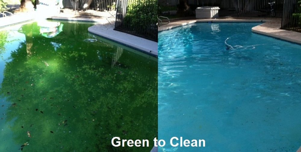 Green to Clean Pool Water